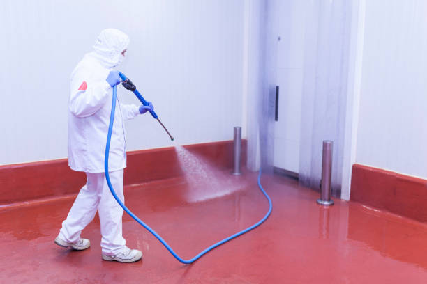Best Concrete Sealing  in Thomasboro, IL