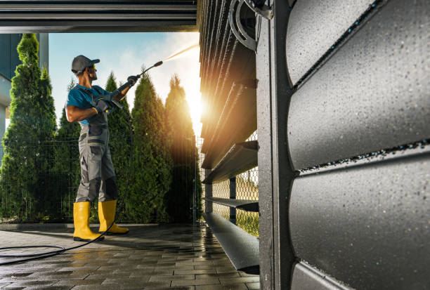 Best Roof Washing  in Thomasboro, IL